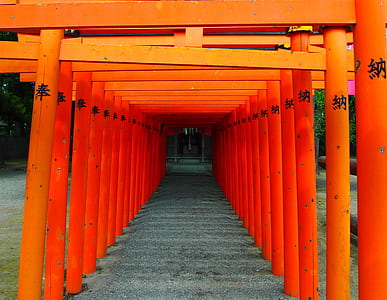 tori gate, Japan thumbnail