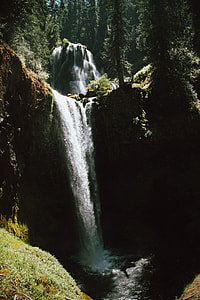 gray water falls surrounded with trees in the middle of forest thumbnail