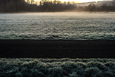 green grass field during daytime thumbnail