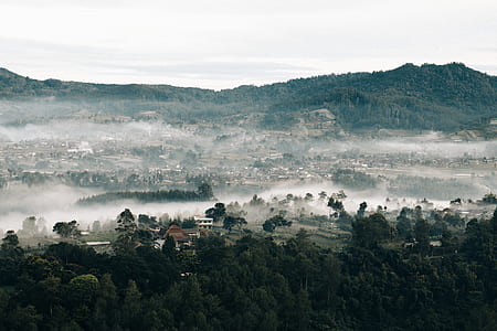 aerial photography of village during daytime thumbnail