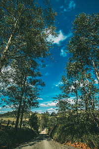 road, landscape, nature, clouds thumbnail