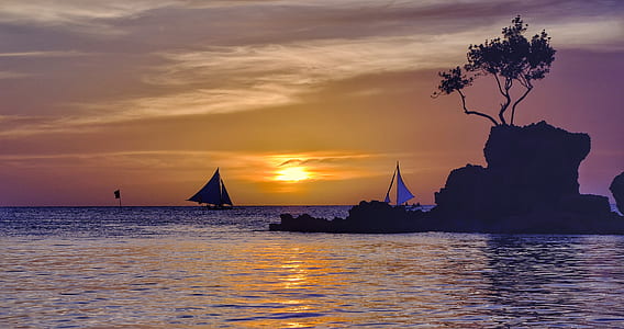 silhouette photo of island with tree thumbnail