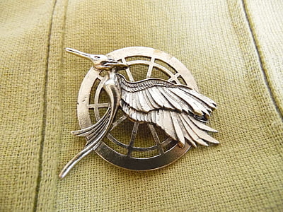 gold-colored Mockingbird pin in close-up photo thumbnail