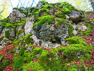 green grass thumbnail