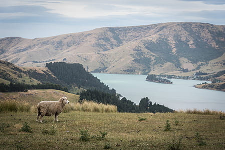 landscape, mountain, hill, lake thumbnail