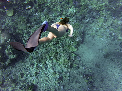 photography of woman in blue bikini set wearing pair of black flippers diving under body of water thumbnail