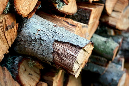 closeup photography of firewood thumbnail