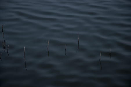 lake water thumbnail