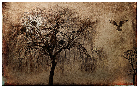 brown tree and bird painting thumbnail