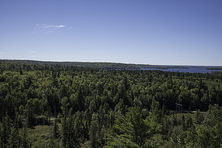 Overlooking the forest in the UP, Michigan thumbnail