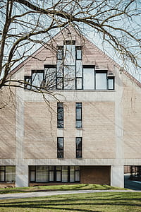 photo of building near leafless tree thumbnail
