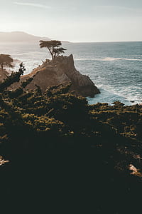cliff near tall green trees at daytime thumbnail