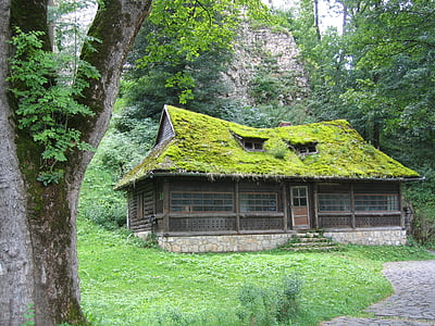 brown house surrounded by trees thumbnail