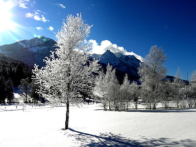 White Tree and Mountain View thumbnail