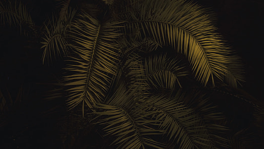 green leaves thumbnail