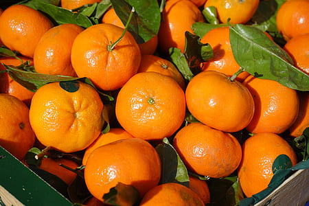 basket of orange fruit thumbnail