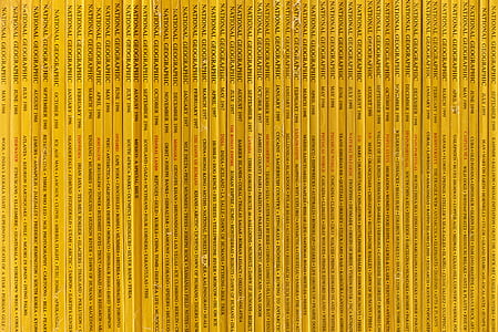 repetition, repetitive, texture, pattern thumbnail