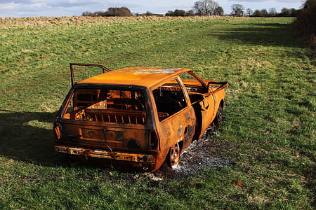 orange vehicle on green grass field at daytime thumbnail