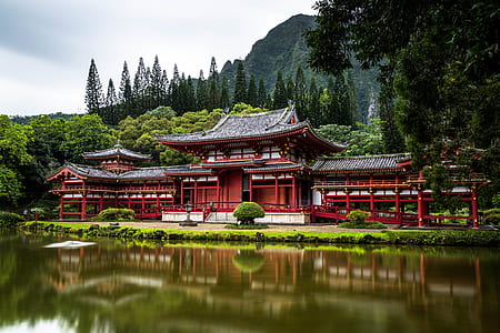 red and black mansion near body of water thumbnail