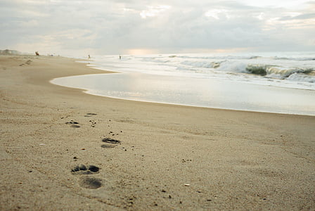 photo of shore with footprints near body of water thumbnail