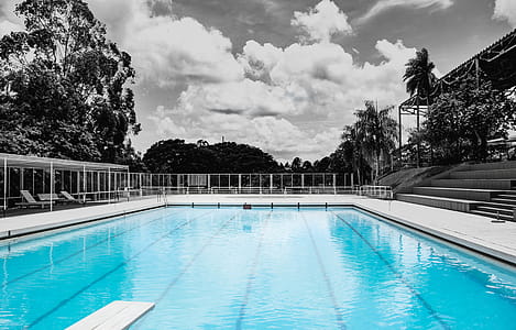 White Concrete Framed Swimming Pool Near Benches With Gate Surrounded by Trees thumbnail