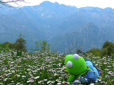 frog plush toy on flowers thumbnail