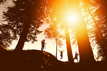 three people near trees during sunset thumbnail