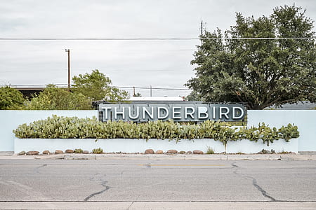 Thunderbird signage taken at daytime thumbnail
