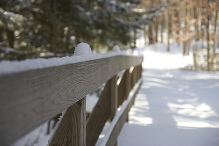 brown wooden backyard thumbnail