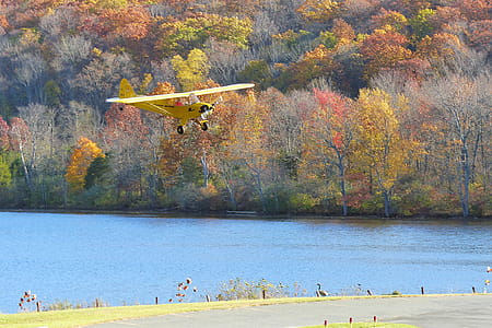 A Piper Cub single engine private airplane ready for a landing at a local airport. thumbnail