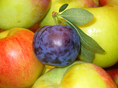 blue apple thumbnail
