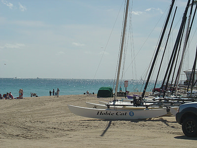 white Hobie Cat boat on sea shore at daytime thumbnail