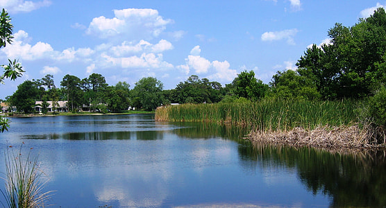 North Triplet Lake in Casselberry, Florida thumbnail