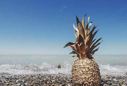 beige pineapple on seashore thumbnail
