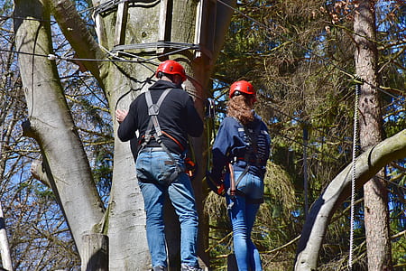 couple climbing on tree thumbnail