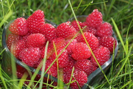 bunch of raspberries on grass field thumbnail