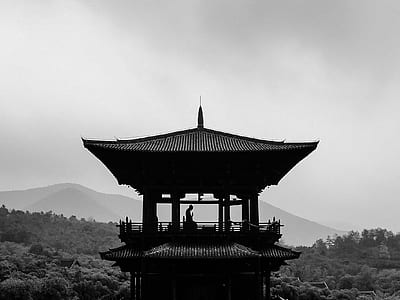 grayscale photo of man kneeling in pagoda thumbnail