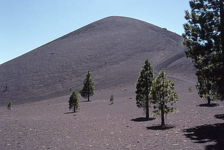 green trees near mountain under blue sky at daytime thumbnail