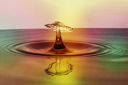 close up photography of water drops thumbnail