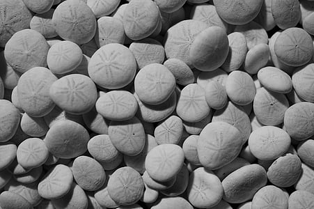 bunch of stones thumbnail