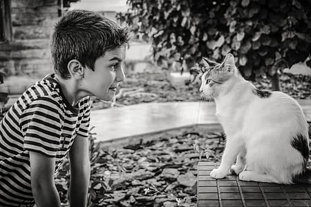 boy and cat thumbnail