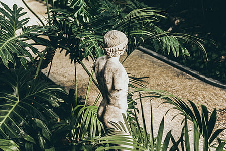 person concrete statue between green leaf plant thumbnail