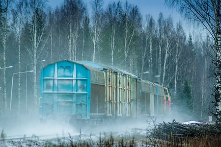 blue train traveling beside forest thumbnail