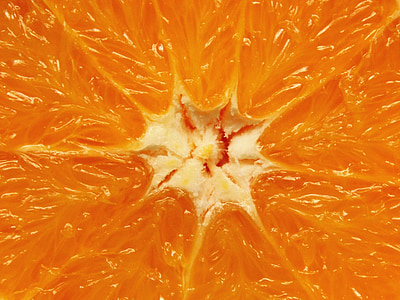 closeup photo of orange citrus fruit thumbnail
