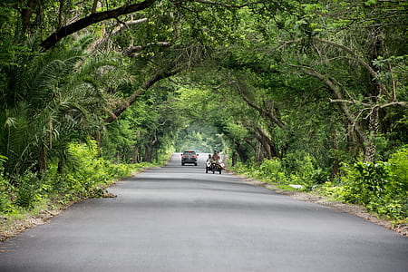 Gray Car in the Middle of Highway Near Green Trees thumbnail