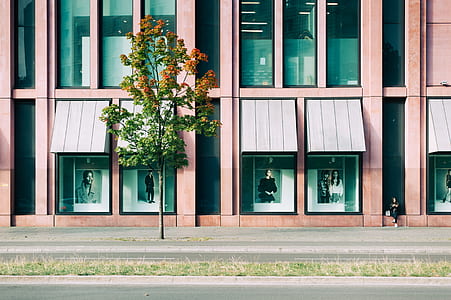 person sitting beside store front thumbnail