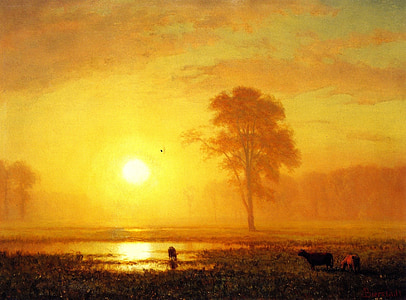 cattle on green field near body of water during golden hour thumbnail