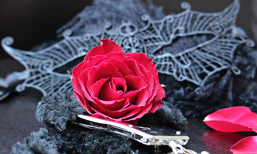 pink rose photo thumbnail