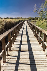 brown wooden dock between green leafed plants under blue sky during daytime thumbnail