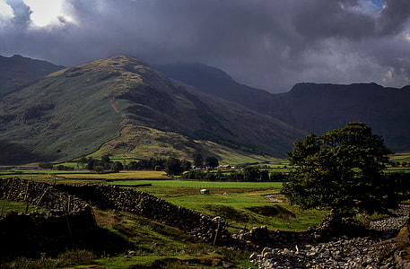 green tree near mountain under grey cloudy sky thumbnail